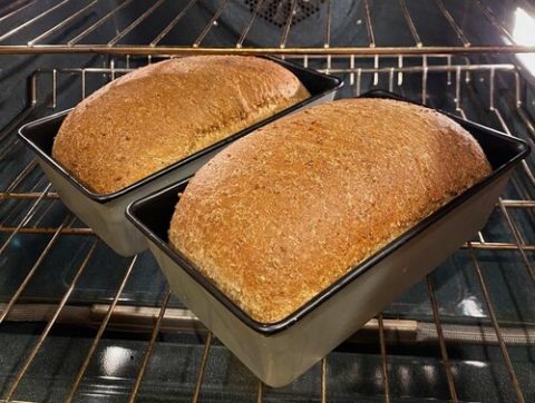 Sprouted Wheat Bread Coming Out of the Oven